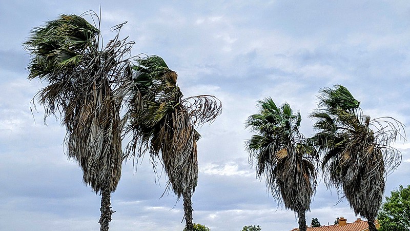 Blustery winds in San Diego as shown on Jan. 20, 2021